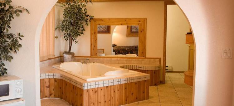 北部乡村套房酒店(North Country Inn & Suites)图片