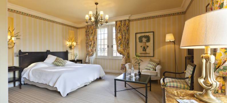 吉米内城堡酒店(Chateau de Germigney)图片