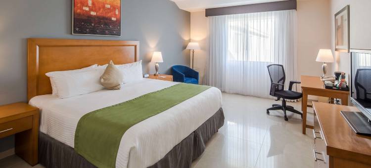 温德姆花园卡曼海滩酒店(Wyndham Garden Playa del Carmen)图片