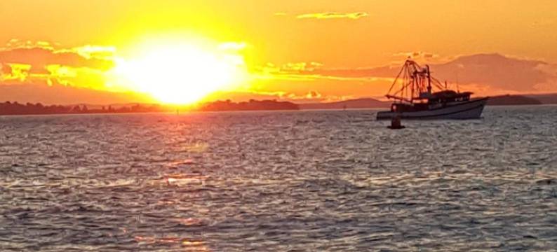 上将纳尔逊汽车旅馆(Admiral Nelson Motor Inn)图片