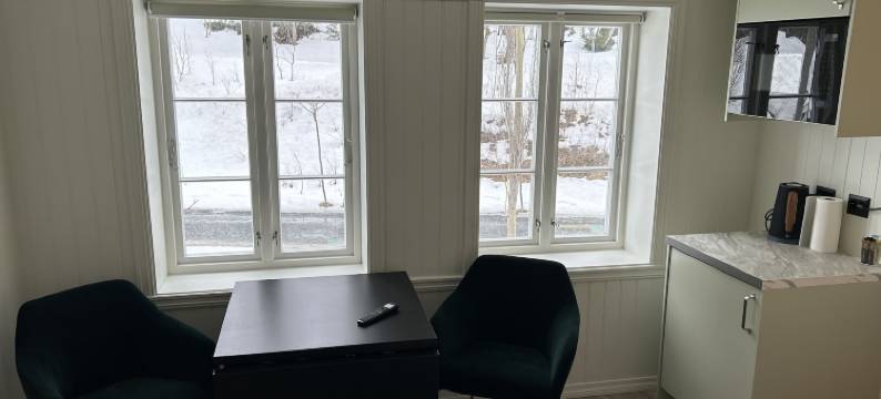 芬斯内斯哥尔德酒店(Finsnes Gaard)图片