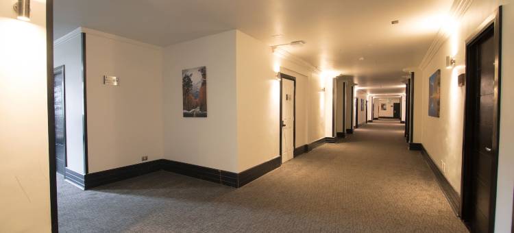 享受普孔酒店(Hotel Enjoy Pucon)图片