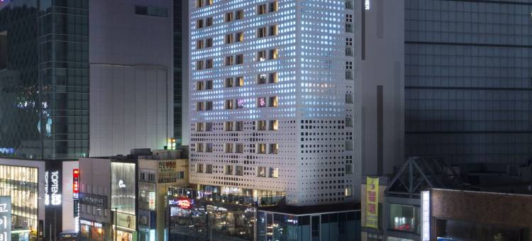 弗莱特普瑞米尔南浦酒店(Hotel Foret Premier Nampo)图片