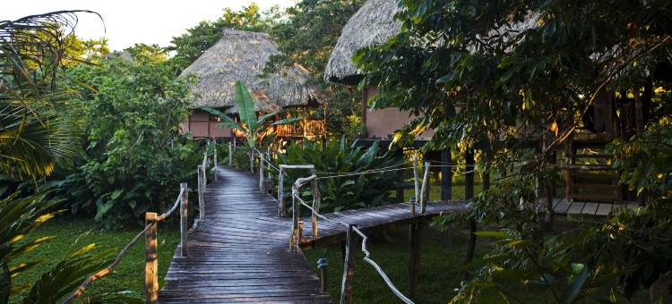 棉花树旅馆(Cotton Tree Lodge)图片
