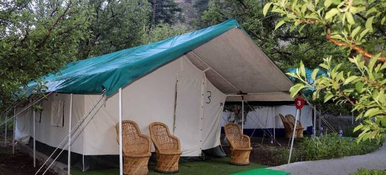 苹果果园农场和露营地(Apple Orchard Farm and Camping)图片