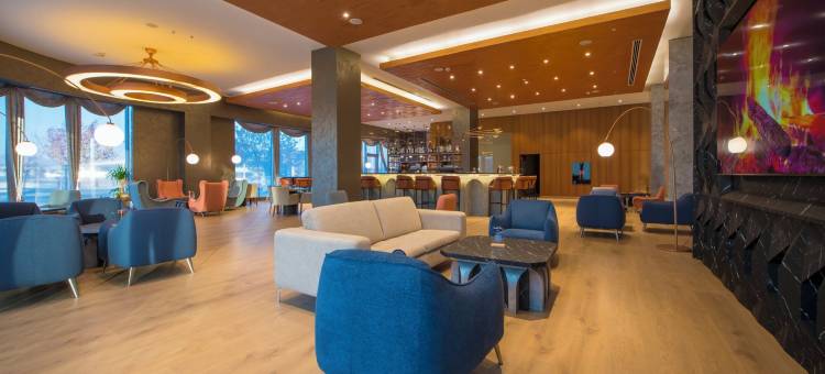 凯瑟里皇冠假日酒店(Crowne Plaza Kayseri)图片