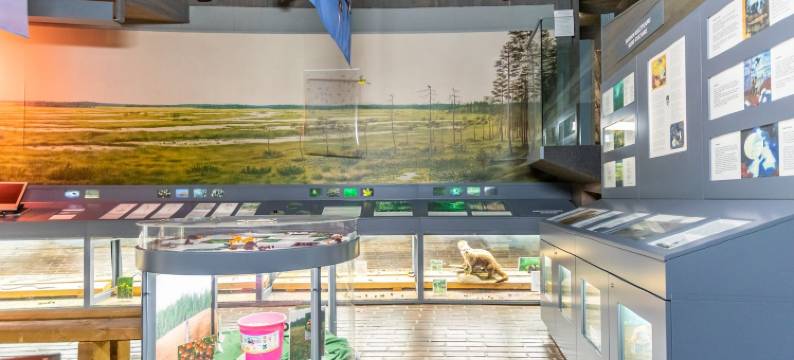 Karhunkierros小木屋和小屋(Arctic Circle Apartment and Cabins)图片