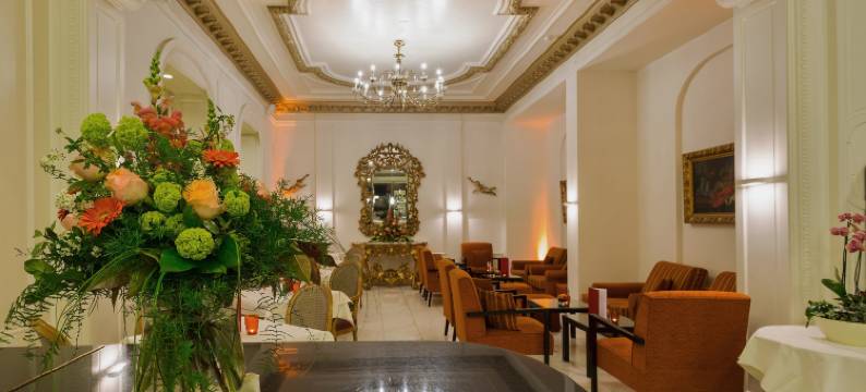 巴塞尔欧拉酒店(Hotel Euler Basel)图片