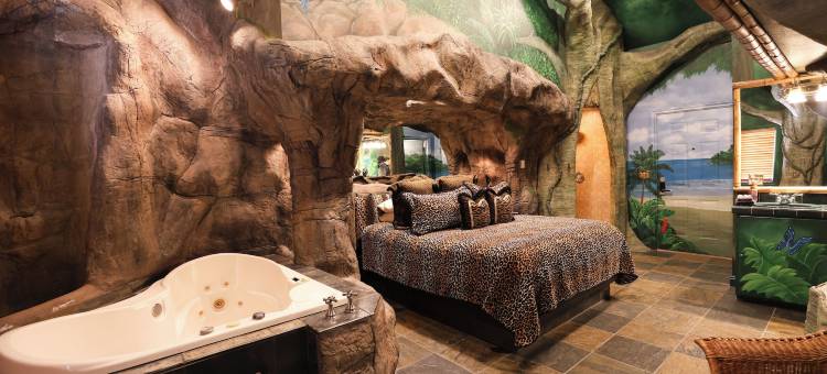 黑天鹅豪华主题客房酒店(Black Swan Inn Luxurious Theme Rooms)图片