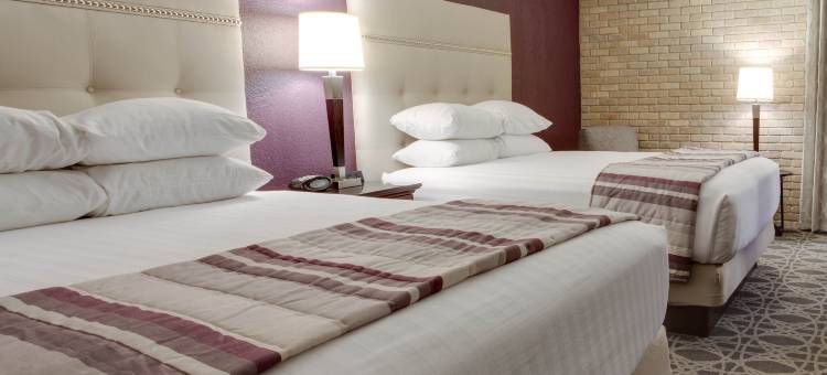 圣安东尼奥机场德鲁里广场酒店(Drury Plaza Hotel San Antonio Airport)图片