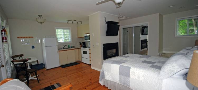 欧戈波度假酒店(Ogopogo Resort)图片