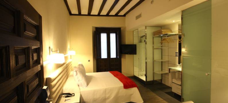 埃文尼亚艾尔卡精品酒店(Evenia Alcalá Boutique Hotel)图片