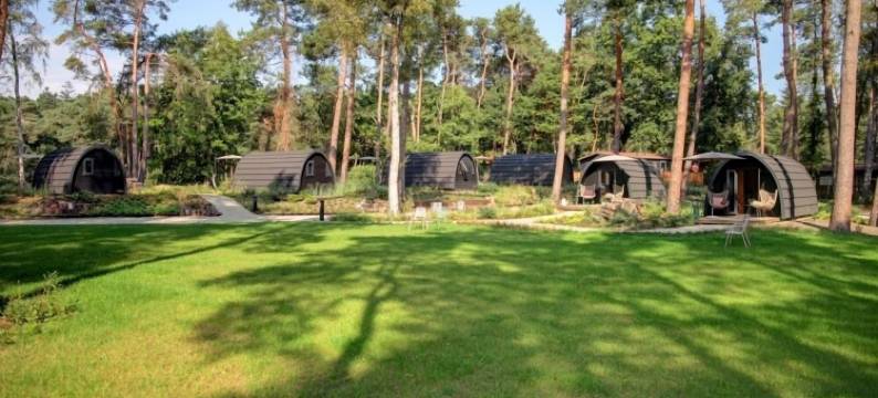 坎皮纳斯塔特(Kampina Staete)图片