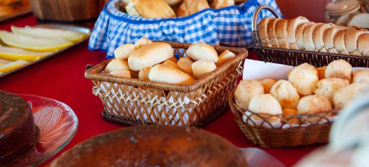 狮子触摸地酒店(Sitio Toca do Leao)图片