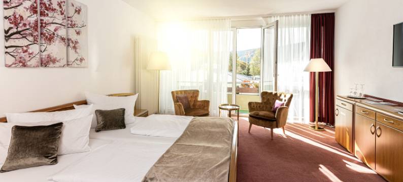 特拉贝酒店(Hotel Traube Revital)图片