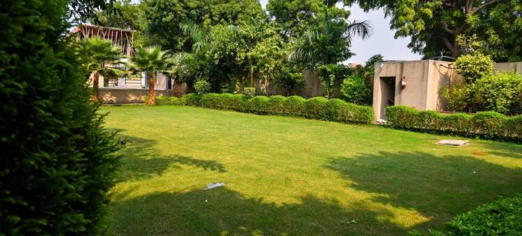 蓝兰花度假村(BLUE ORCHID RESORT)图片