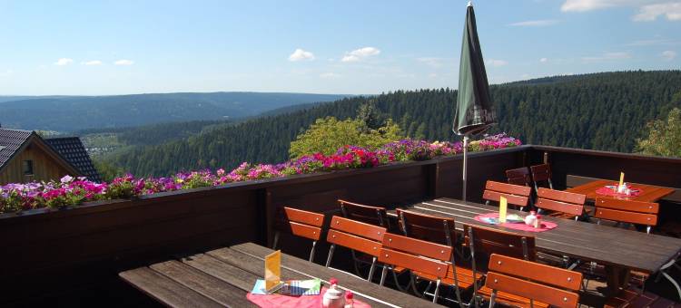 美景旅馆(Berggasthaus & Pension Schöne Aussicht)图片