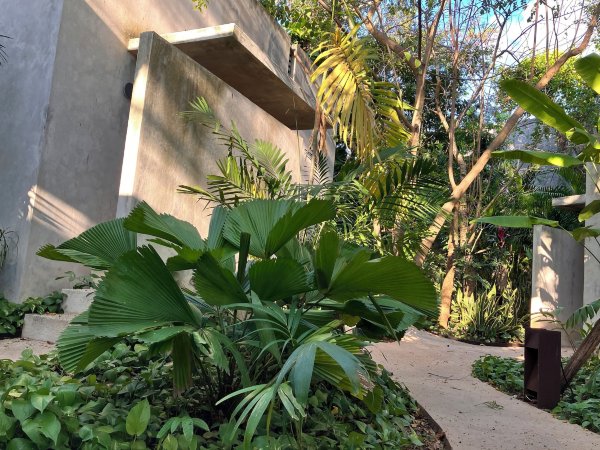 BáSICO PIXOY HOTEL Hotel Overview