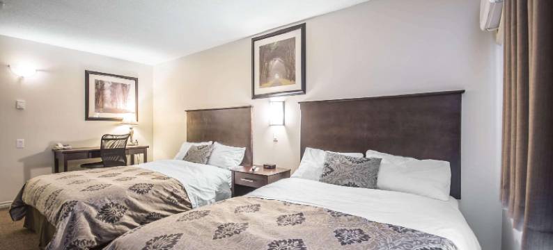 伊克诺旅馆(Econo Lodge)图片