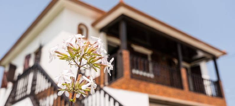 GuestReady - Rustic Oasis in Vila Nova de Cerveira图片