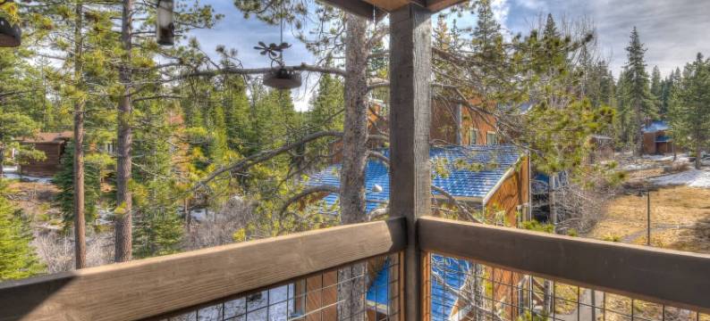 银树庇护所，在白杨树林中(Silver Tree Sanctuary in Aspen Grove!)图片