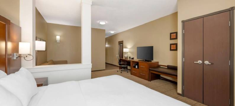 西奥马哈舒适套房酒店(Comfort Suites West Omaha)图片