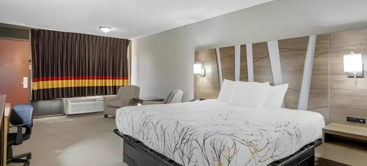 罗德威旅馆(Rodeway Inn)图片