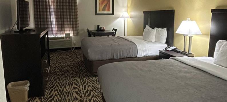 克莱蒙斯 I-40 凯艺套房酒店(Quality Inn & Suites Clemmons I-40)图片