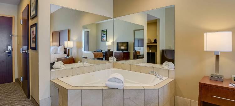 奥古斯塔艾森豪威尔高速公路舒适套房酒店(Comfort Inn & Suites Augusta Fort Eisenhower Area)图片