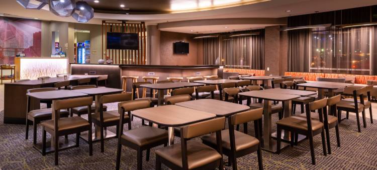 匹兹堡北岸万豪SpringHill Suites 酒店(SpringHill Suites Pittsburgh North Shore)图片