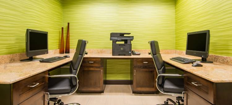 智选假日套房酒店霍布斯(Holiday Inn Express & Suites Hobbs)图片