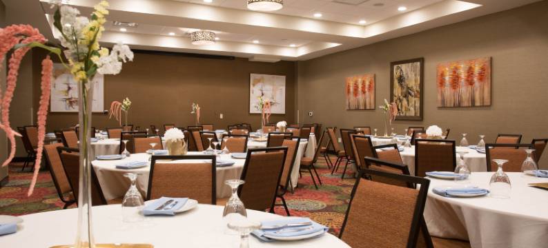 Holiday Inn 默夫里斯伯勒(Holiday Inn MURFREESBORO by IHG)图片