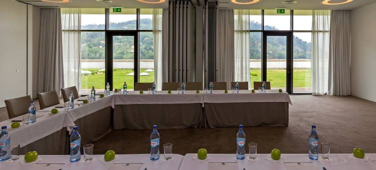 杜罗河谷皇家酒店&Spa(Douro Royal Valley Hotel & Spa)图片