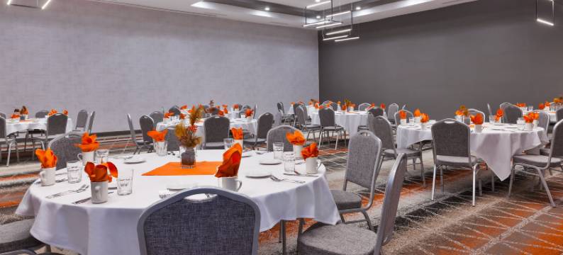 托莱多西南-佩里斯堡假日套房酒店(Holiday Inn & Suites TOLEDO SOUTHWEST - PERRYSBURG by IHG)图片