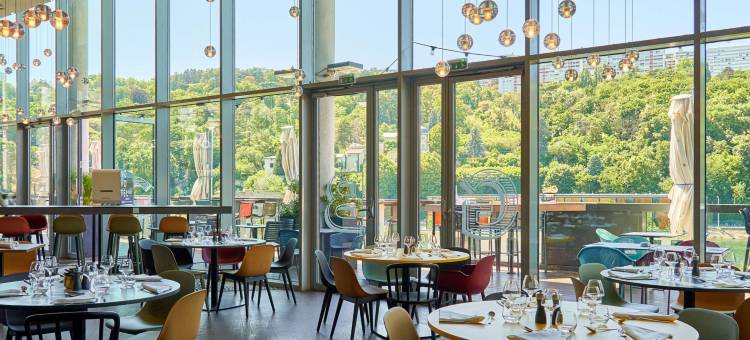 里昂中心索恩汇合诺富特酒店(Novotel Lyon Centre Confluence Bord de Saone)图片