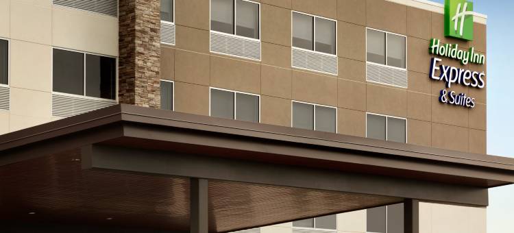 洲际智选假日套房酒店萨凡纳西-查塔姆大道(Holiday Inn Express & Suites SAVANNAH W - CHATHAM PARKWAY by IHG)图片