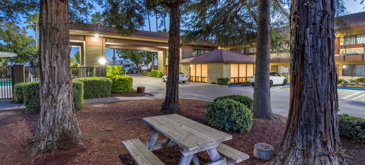 果园贝斯特韦斯特酒店(Best Western Orchard Inn)图片