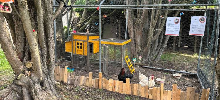 宜必思南特拉比乌约雷公园会展中心酒店(Ibis Nantes la Beaujoire Parc Expo)图片