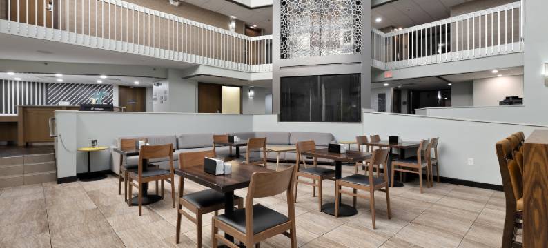 迈克艾伦医疗中心区假日酒店(Holiday Inn MCALLEN – MEDICAL CENTER AREA by IHG)图片