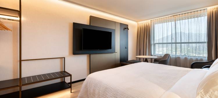 圣地亚哥拉斯孔德斯智选假日酒店(Holiday Inn Express Santiago Las Condes)图片