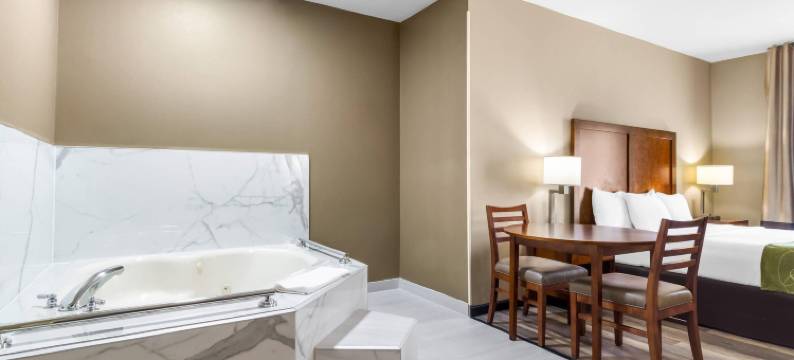 舒适套房酒店(Comfort Suites)图片