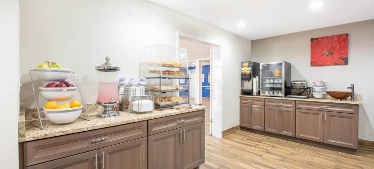 斯普林菲尔德温德姆麦客达套房酒店(Microtel Inn & Suites by Wyndham Springfield)图片