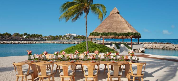 玛雅里维耶拉大道梦想度假村(Dreams Aventuras Riviera Maya)图片