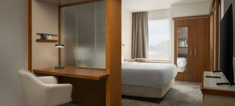 沃里斯芒特劳雷尔/樱桃山万豪SpringHill Suites 酒店(SpringHill Suites Voorhees Mt. Laurel/Cherry Hill)图片