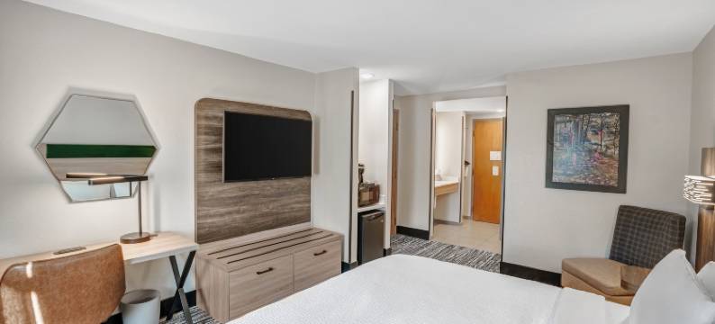 海沃德智选假日套房酒店(Holiday Inn Express & Suites HAYWARD by IHG)图片