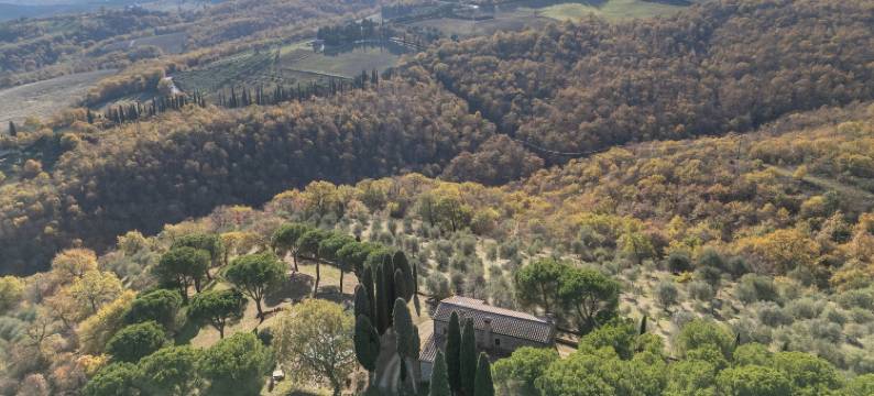 蒂贝里尼酒庄别墅(Villa Tiberini - Wine Relais)图片