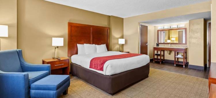 北莱克兰I-4舒适套房酒店(Comfort Inn & Suites Lakeland North I-4)图片