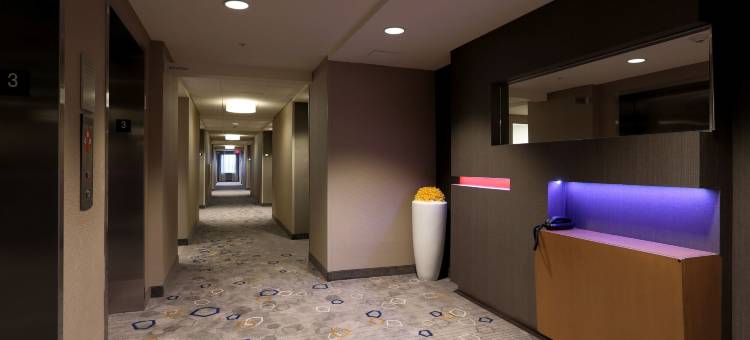 斯塔克维尔密歇根州立大学米尔会议中心万怡酒店(Courtyard Starkville MSU at the Mill Conference Center)图片
