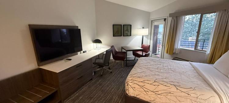 贝斯特韦斯特丹佛东行政公寓(Executive Residency by Best Western Denver East)图片