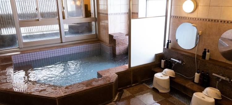 大分阿里斯顿酒店(Natural Hot Spring Ariston Hotel Oita)图片